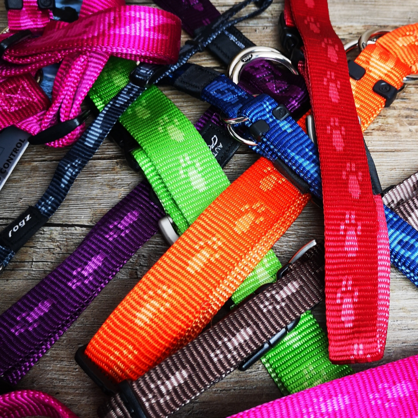 Alpinist Halsband Nylon von Rogz