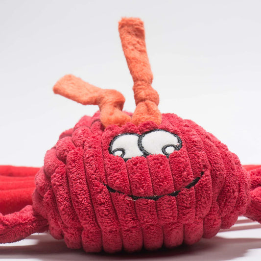Hugglehounds-knottie-hummer-lobsta