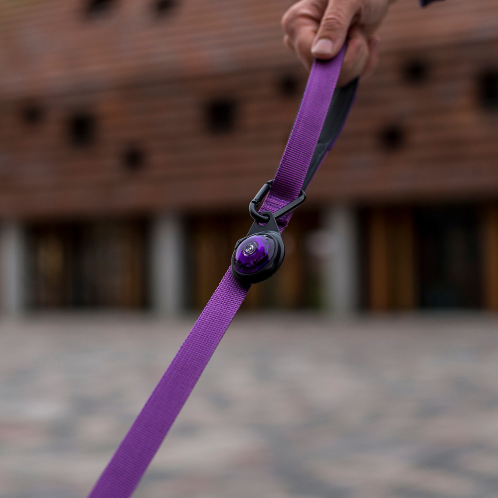 orbiloc-karabiner-leine