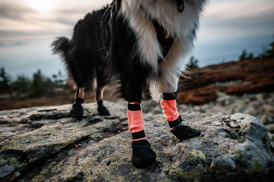 Hundeschuhe Protector Bootie High Non-stop Dogwear