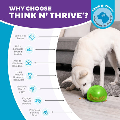 Planet Dog Orbee-Tuff Snoop grün 12,5cm groß
