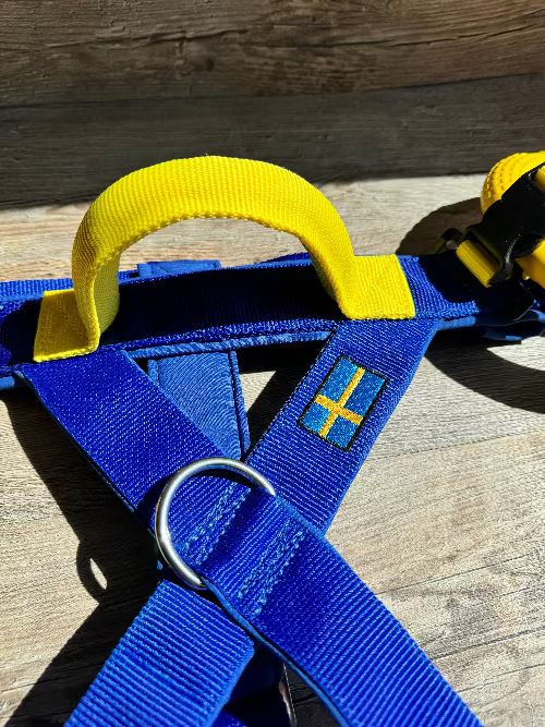 Wasserarbeitsgeschirr-blau-gelb-schweden