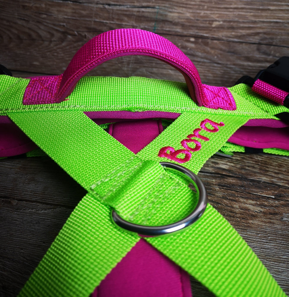 Wasserarbeitsgeschirr-lime-pink