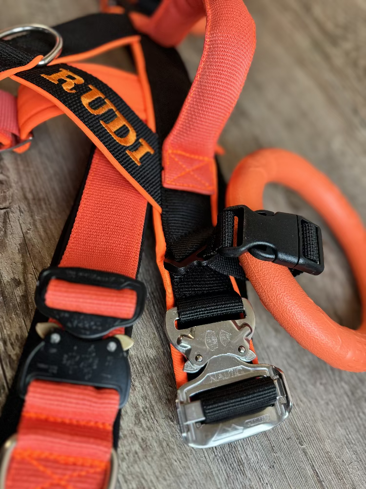 Wasserarbeitsgeschirr-orange-schwarz-cobra