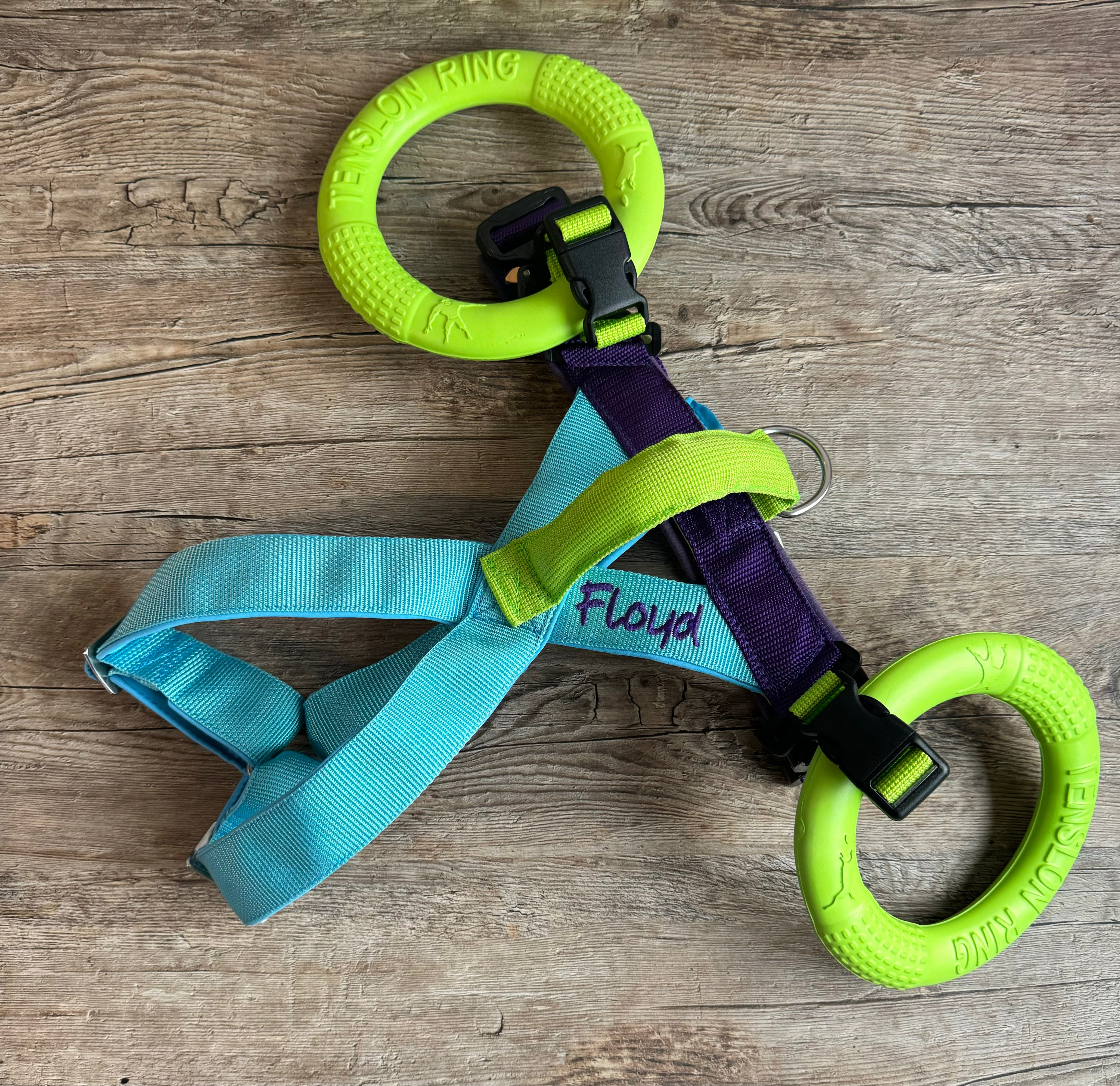 Wasserarbeitsgeschirr-tuerkis-lila-lime