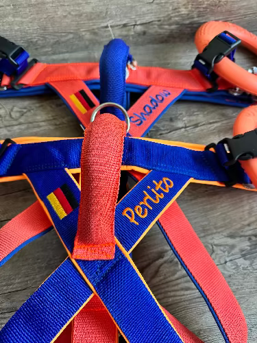Wasserarbeitsgeschirre-royalblau-orange