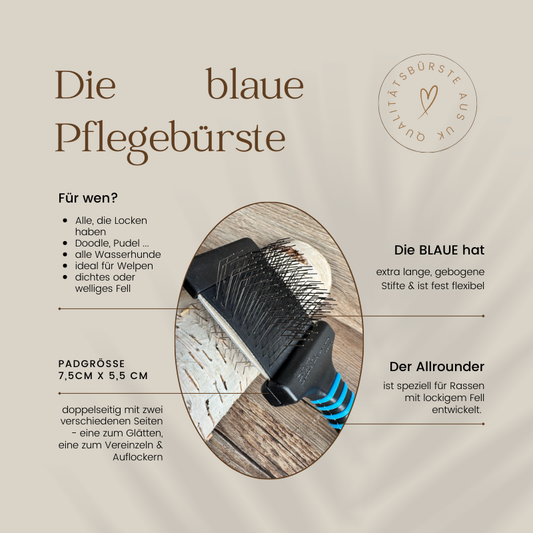 Allrounderprofi BLAU - Qualitäts Hundebürste patentiert