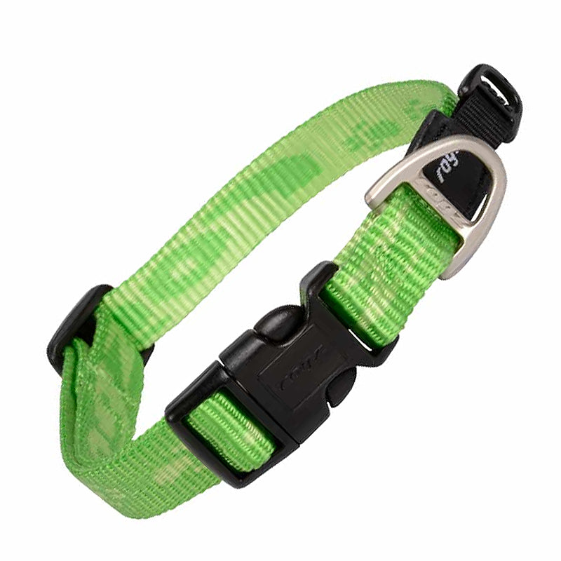 Rogz Alpinist Hundehalsband – robust, hoher Tragekomfort & verstellbar