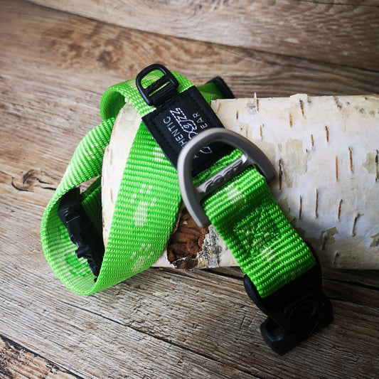Alpinist Halsband Nylon von Rogz