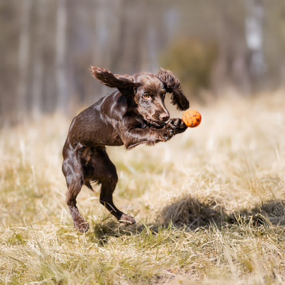 Non-stop dogwear Dog Ball
