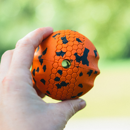 Non-stop dogwear Dog Ball