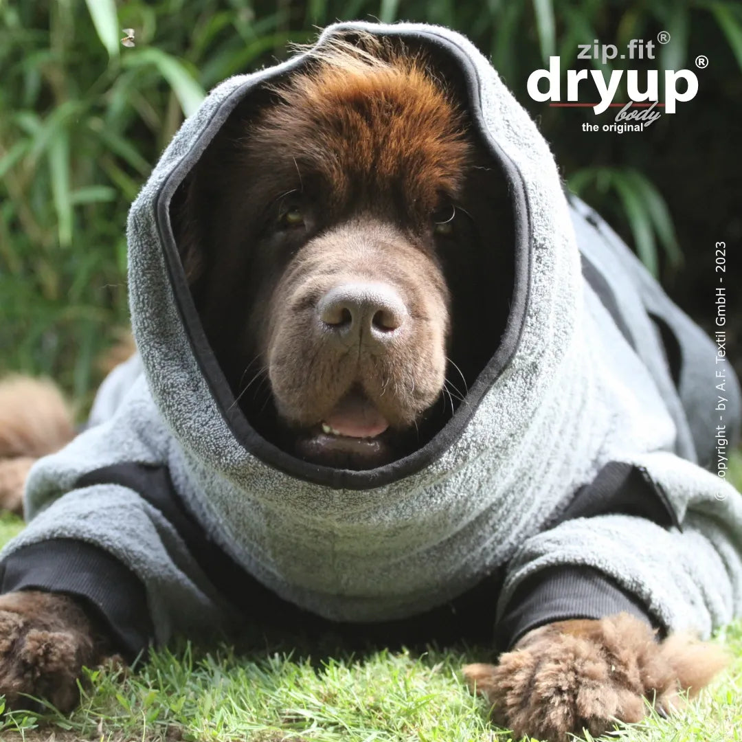 Hundebademantel dryup zip.fit body grau