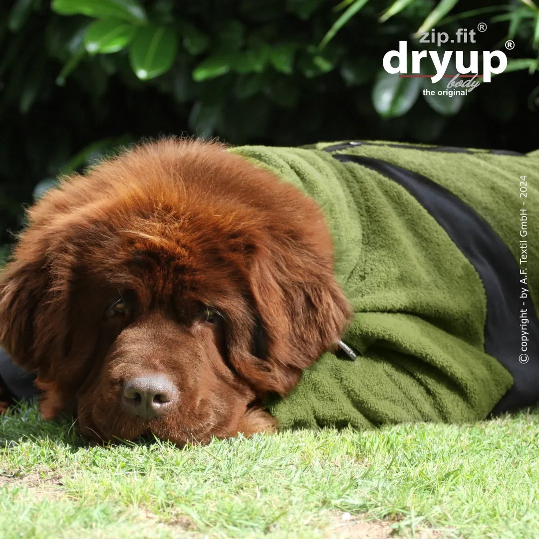 Hundebademantel dryup zip.fit body grün
