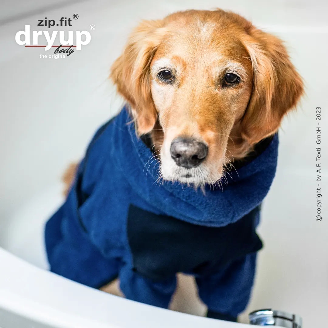 Hundebademantel dryup zi.fit blau