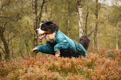 Hunderegenmantel Fjord  OVERALL Non-stop dogwear
