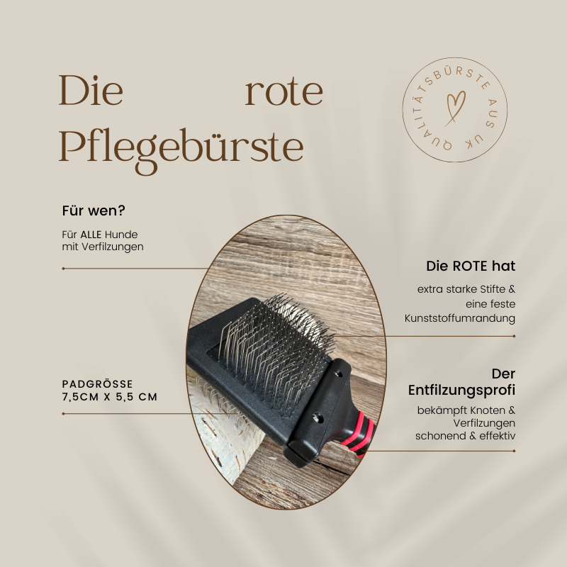 Hundebuerste Entfilzungsprofi