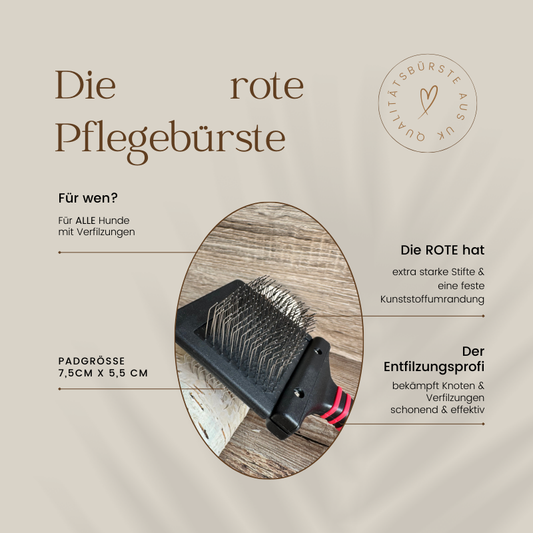 Hundebuerste Entfilzungsprofi