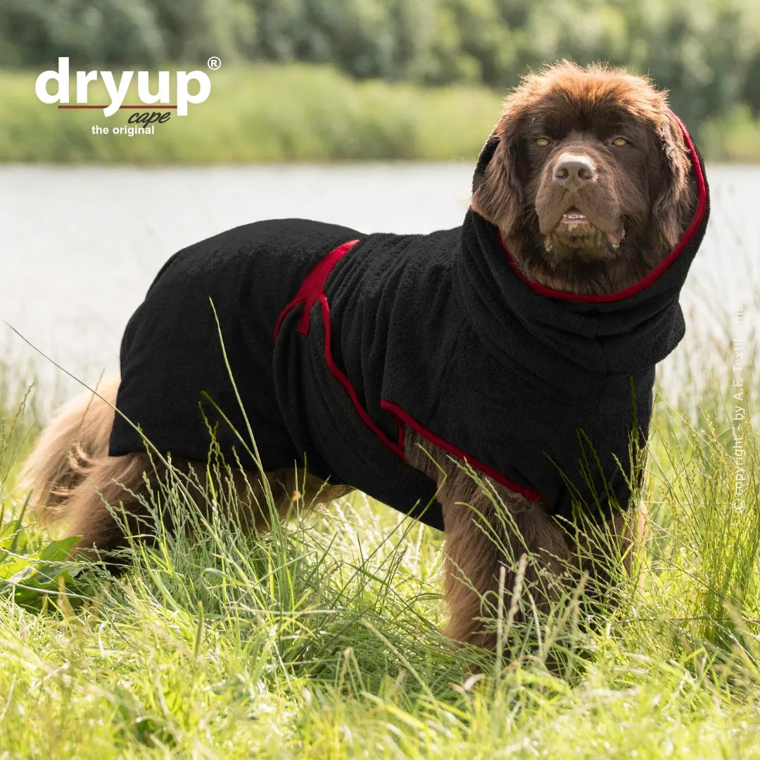Hundebademantel Dryup Cape BIG  schwarz