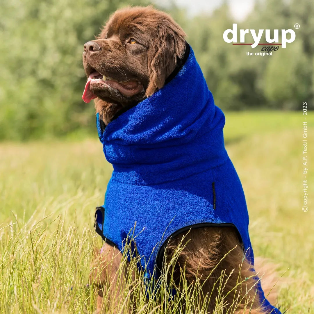 Hundebademantel Dryup Cape BIG  blueberry