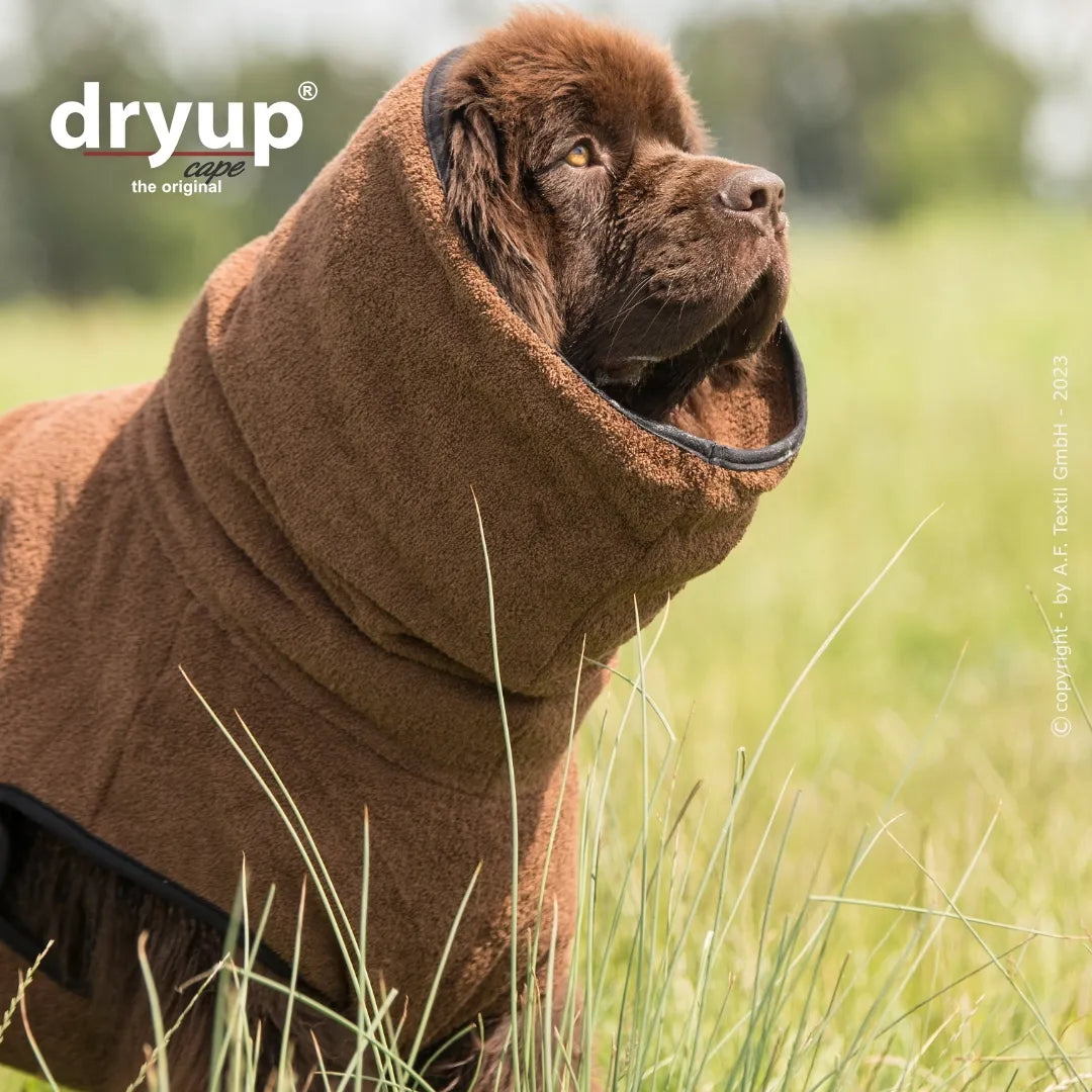Hundebademantel Dryup Cape BIG  braun
