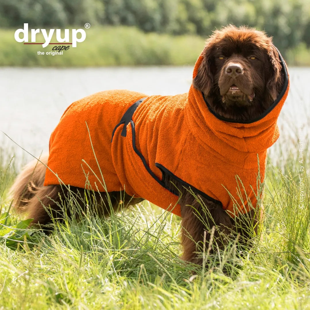 Hundebademantel Dryup Cape BIG  orange