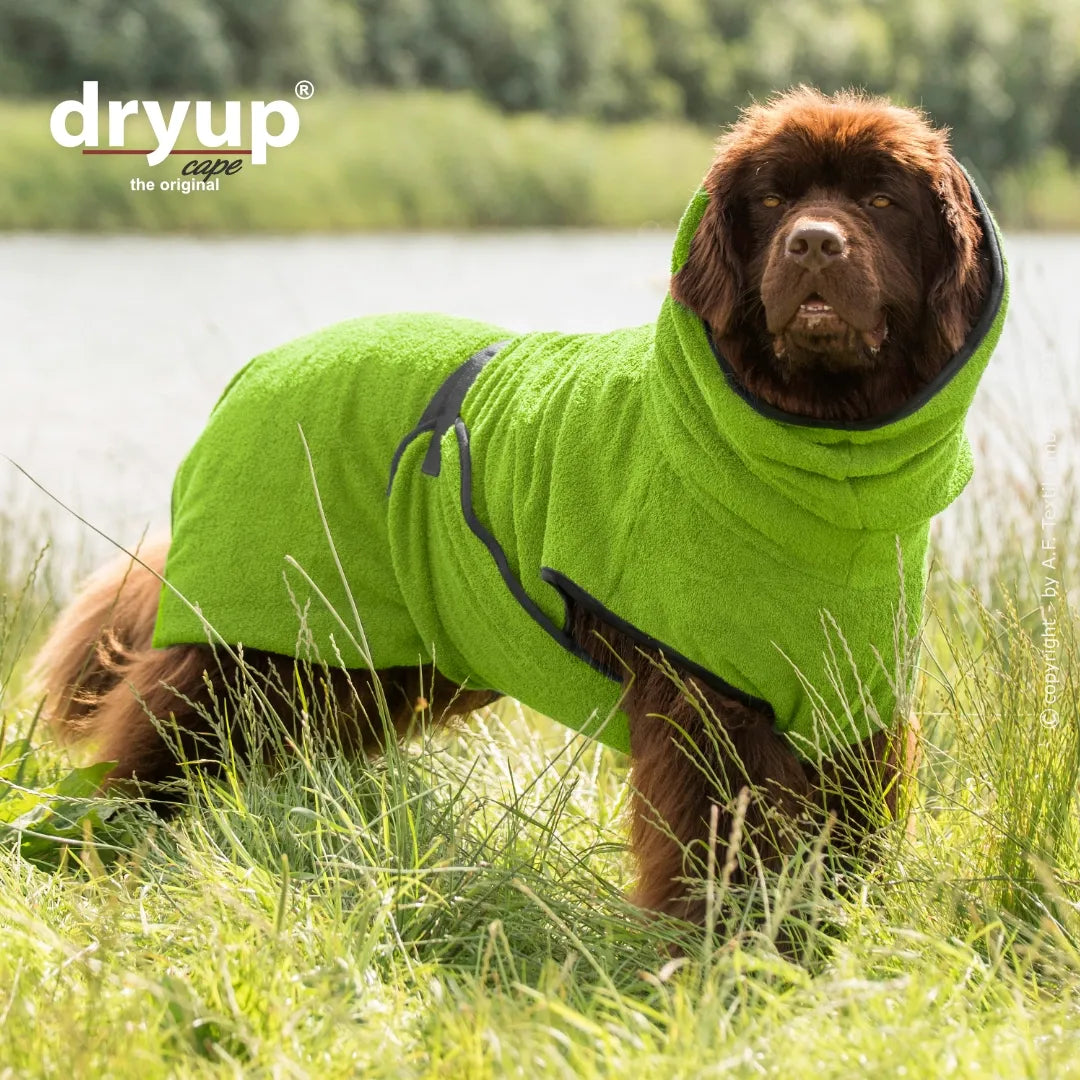 Hundebademantel Dryup Cape BIG  kiwi