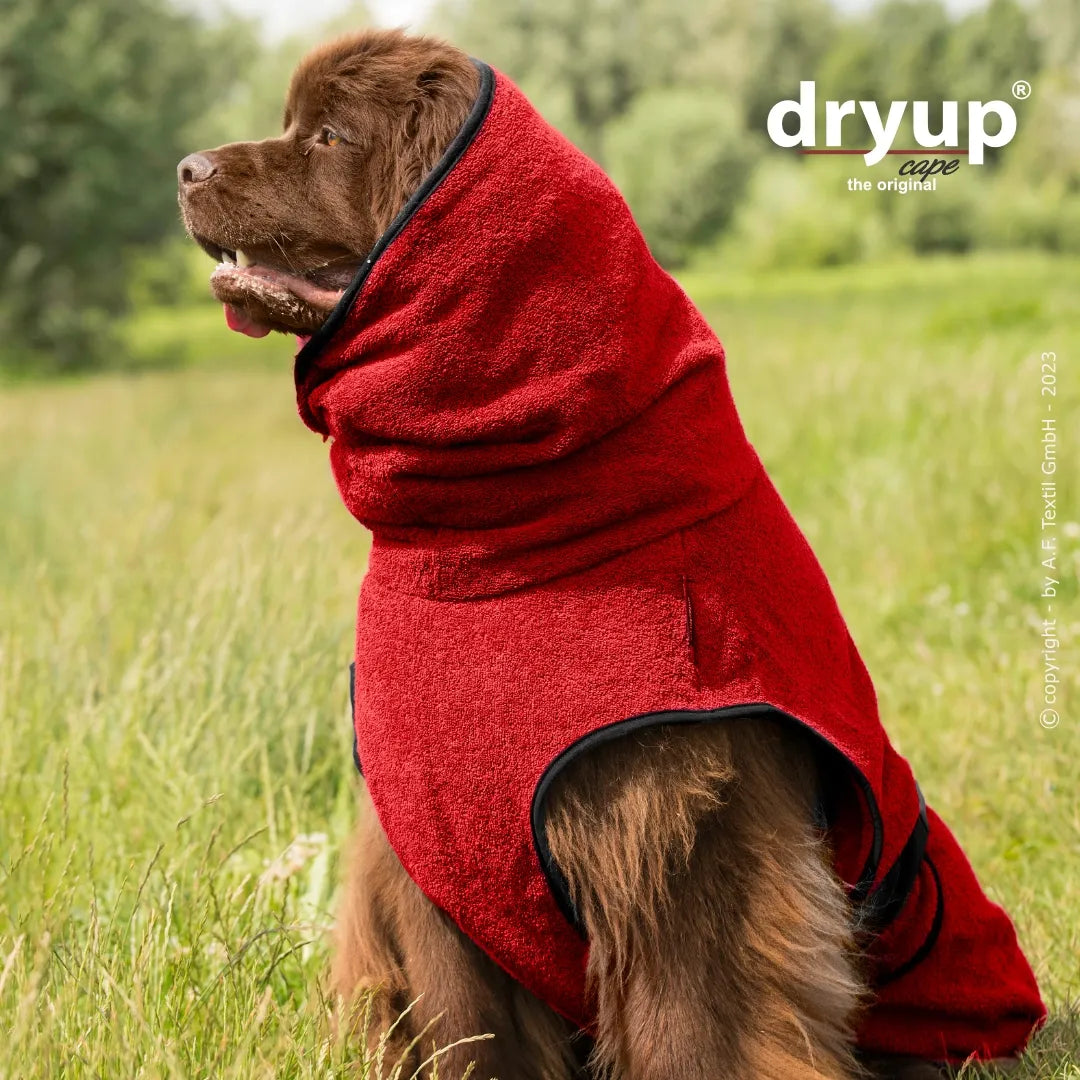 Hundebademantel Dryup Cape BIG  redpepper