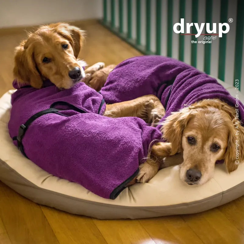 Dryup Cape Hundebademantel STANDARD XS-XXL