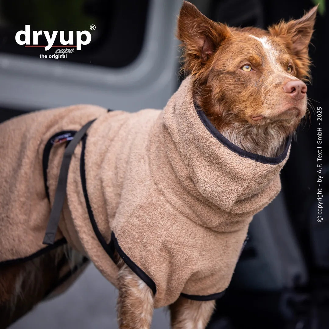 Dryup Cape Hundebademantel STANDARD XS-XXL