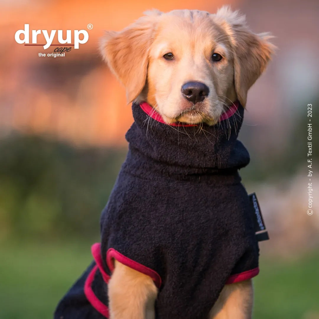 Hundebademantel Dryup Cape MINI schwarz