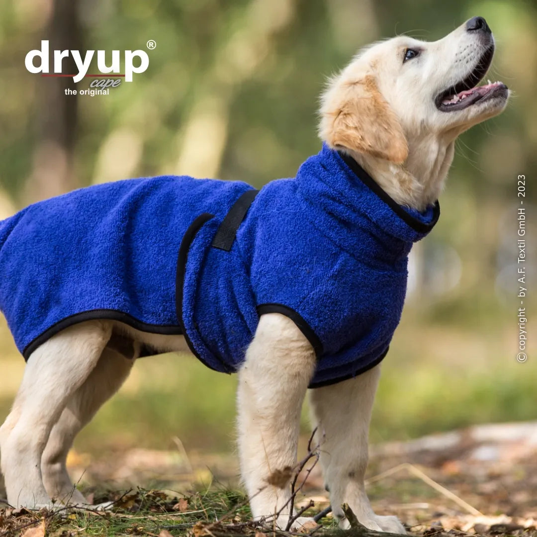 Hundebademantel Dryup Cape MINI blau