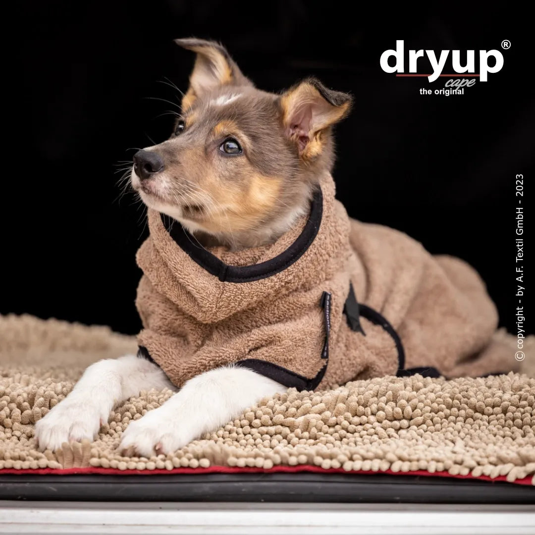 Hundebademantel Dryup Cape MINI coffee