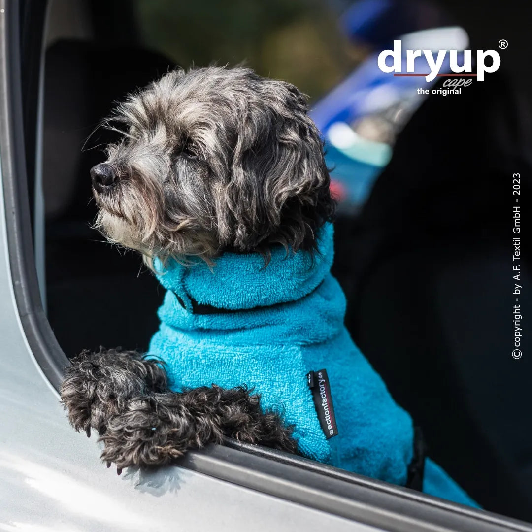 Hundebademantel Dryup Cape MINI türkis