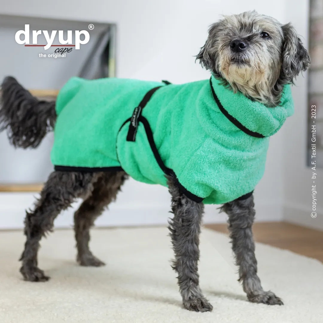 Hundebademantel Dryup Cape MINI mint
