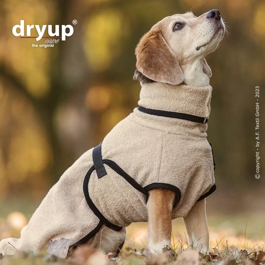 Hundebademantel Dryup Cape MINI sand