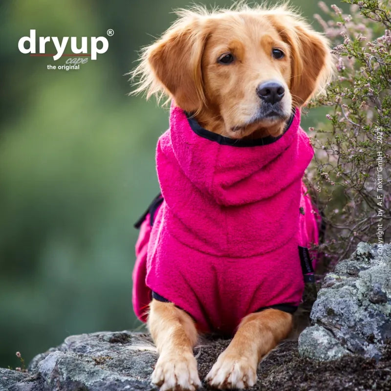 Dryup Cape Hundebademantel STANDARD XS-XXL