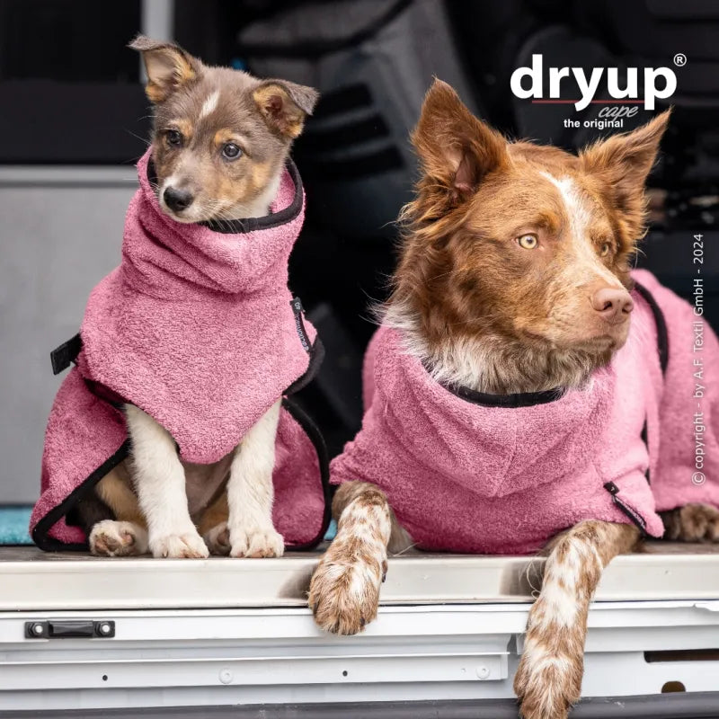 Dryup Cape Hundebademantel STANDARD XS-XXL