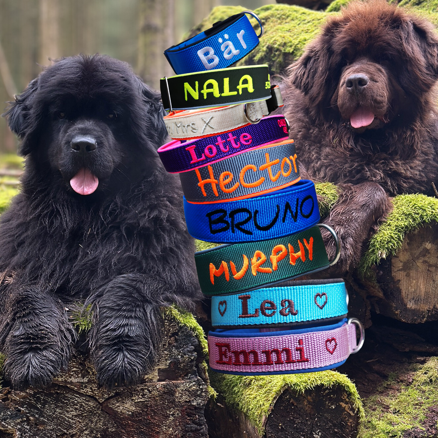 Klick Hundehalsband Nylon Konfigurator – HerzHUNDig-by-doghouse24.de