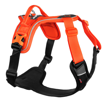 Ramble Hundegeschirr Non-stop dogwear