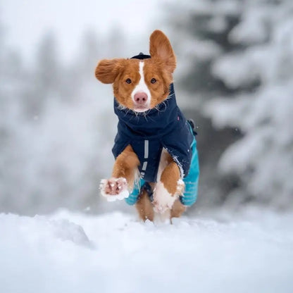 Hundemantel Glacier 2.0 Non-stop dogwear