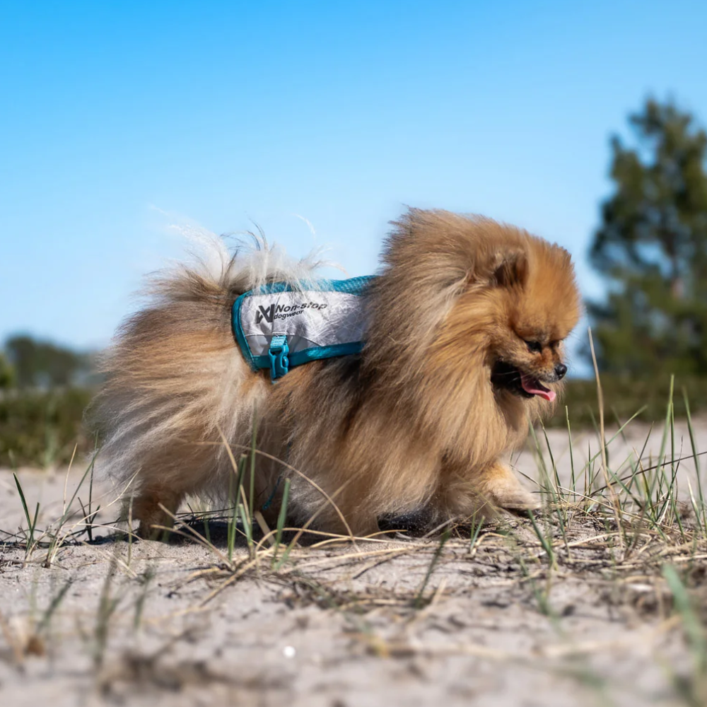 Non-stop dogwear Hunde-Kühlweste Cooling Vest