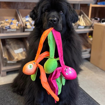 Dog Comets Alien Octo 41cm Hundespielzeug