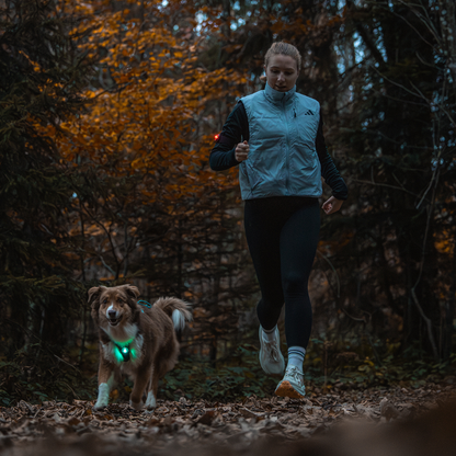 orbiloc-dog-dual-wasserdicht