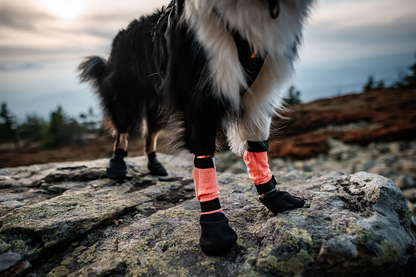 Hundeschuhe Protector Bootie High Non-stop Dogwear