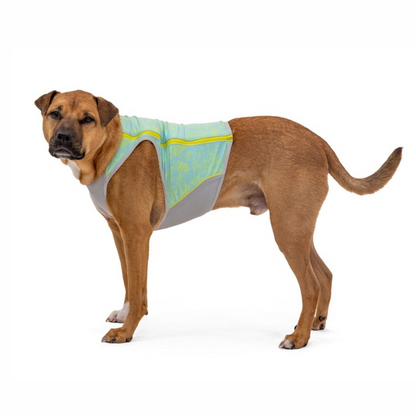 Ruffwear Hunde-Kühlweste Swamp Cooler Zip™ Vest Blue Mist XL