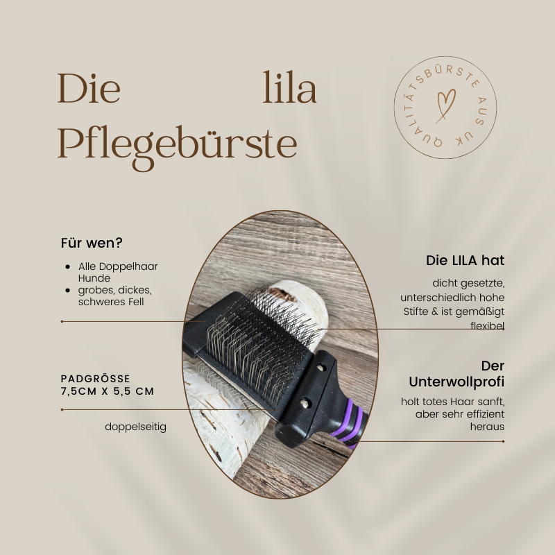 MINI Unterwollenprofi LILA - Qualitäts Hundebürste patentiert
