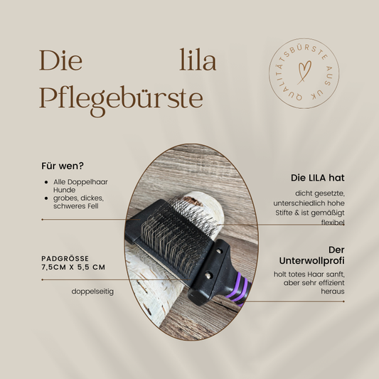 Unterwollenprofi LILA - Qualitäts Hundebürste patentiert