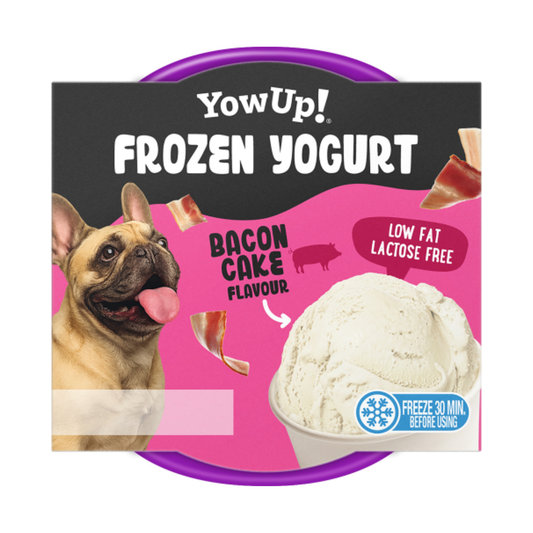 yowup! frozen joghurt bacon cake
